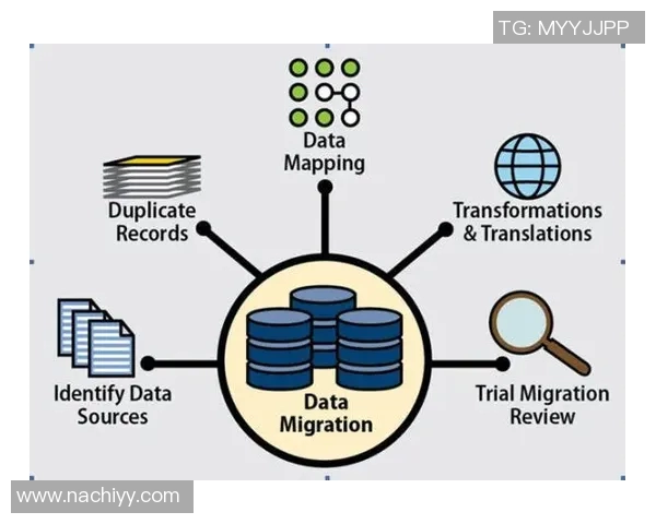 深入探讨武汉羽毛球队技术表现的数据分析与提升策略 深入探讨武汉羽毛球队技术表现的数据分析与提升策略