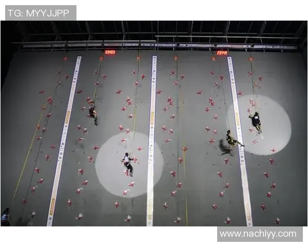 上海攀岩队速度分析与其他体育项目的对比研究