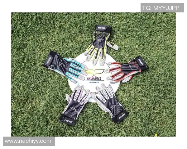 运动飞盘与滑板装备选购指南助你提升体育运动体验